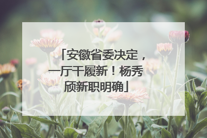安徽省委决定，一厅干履新！杨秀颀新职明确