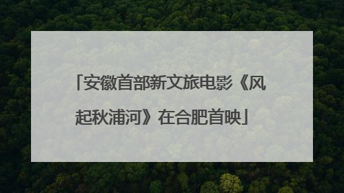 安徽首部新文旅电影《风起秋浦河》在合肥首映