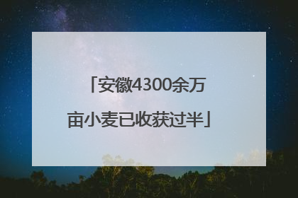 安徽4300余万亩小麦已收获过半