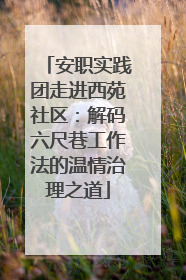 安职实践团走进西苑社区：解码六尺巷工作法的温情治理之道
