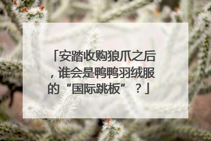 安踏收购狼爪之后，谁会是鸭鸭羽绒服的“国际跳板”？