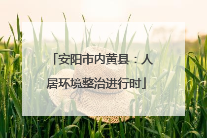安阳市内黄县：人居环境整治进行时