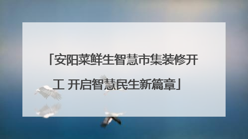安阳菜鲜生智慧市集装修开工 开启智慧民生新篇章
