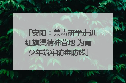 安阳：禁毒研学走进红旗渠精神营地 为青少年筑牢防毒防线