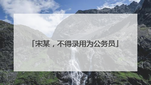 宋某，不得录用为公务员
