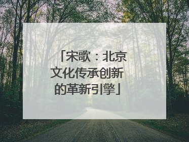 宋歌：北京文化传承创新的革新引擎