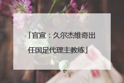 官宣：久尔杰维奇出任国足代理主教练