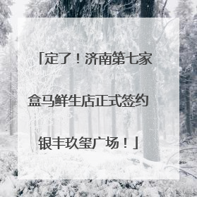 定了！济南第七家盒马鲜生店正式签约银丰玖玺广场！
