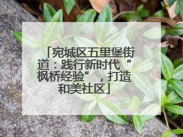宛城区五里堡街道：践行新时代“枫桥经验”，打造和美社区