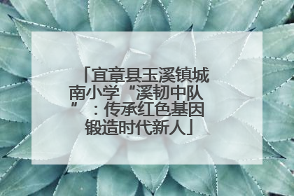 宜章县玉溪镇城南小学“溪韧中队”：传承红色基因 锻造时代新人