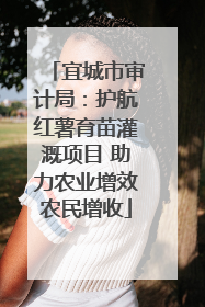 宜城市审计局：护航红薯育苗灌溉项目 助力农业增效农民增收