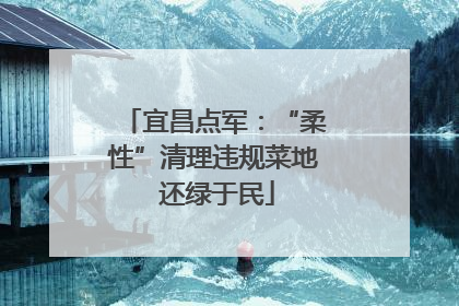 宜昌点军：“柔性”清理违规菜地 还绿于民