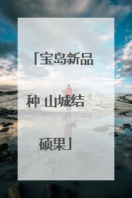 宝岛新品种 山城结硕果