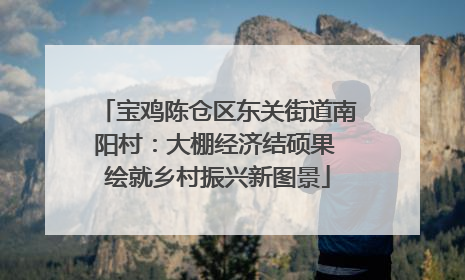 宝鸡陈仓区东关街道南阳村：大棚经济结硕果 绘就乡村振兴新图景
