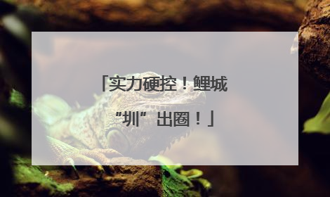 实力硬控！鲤城“圳”出圈！
