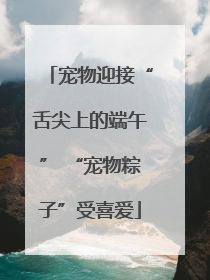 宠物迎接“舌尖上的端午” “宠物粽子”受喜爱