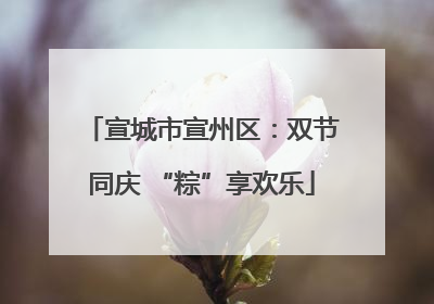 宣城市宣州区：双节同庆 “粽”享欢乐