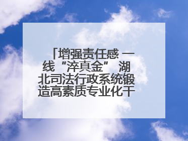 增强责任感 一线“淬真金” 湖北司法行政系统锻造高素质专业化干警队伍