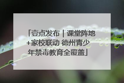 壹点发布｜课堂阵地+家校联动 德州青少年禁毒教育全覆盖