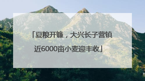 夏粮开镰，大兴长子营镇近6000亩小麦迎丰收