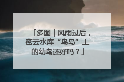 多图｜风雨过后，密云水库“鸟岛”上的幼鸟还好吗？