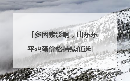 多因素影响，山东东平鸡蛋价格持续低迷