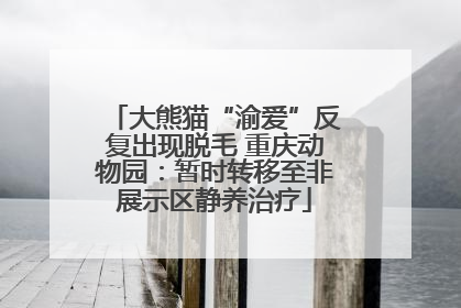 大熊猫“渝爱”反复出现脱毛 重庆动物园：暂时转移至非展示区静养治疗