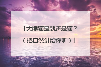 大熊猫是熊还是猫？（把自然讲给你听）