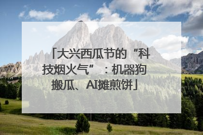 大兴西瓜节的“科技烟火气”：机器狗搬瓜、AI摊煎饼