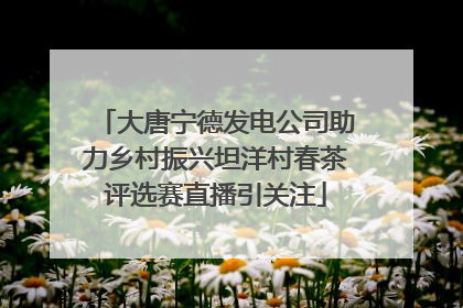 大唐宁德发电公司助力乡村振兴坦洋村春茶评选赛直播引关注