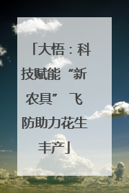 大悟：科技赋能“新农具” 飞防助力花生丰产