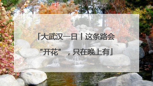 大武汉一日丨这条路会“开花”，只在晚上有