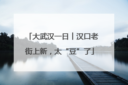 大武汉一日︱汉口老街上新，太“豆”了