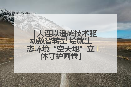 大连以遥感技术驱动数智转型 绘就生态环境“空天地”立体守护画卷