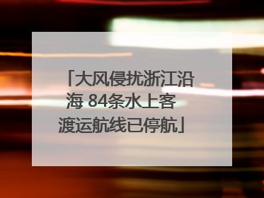 大风侵扰浙江沿海 84条水上客渡运航线已停航