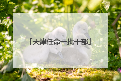 天津任命一批干部