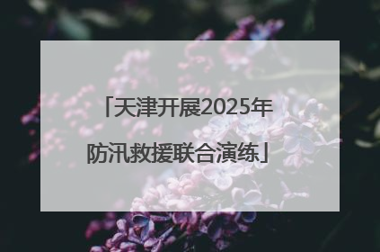 天津开展2025年防汛救援联合演练