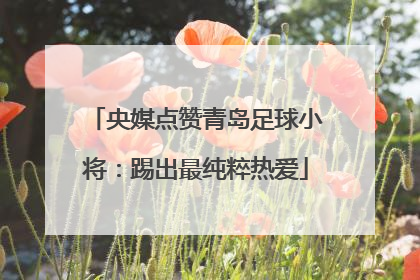 央媒点赞青岛足球小将：踢出最纯粹热爱