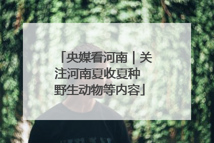 央媒看河南｜关注河南夏收夏种 野生动物等内容