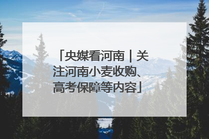 央媒看河南｜关注河南小麦收购、高考保障等内容