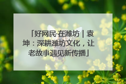 好网民·在潍坊｜袁坤：深耕潍坊文化，让老故事遇见新传播