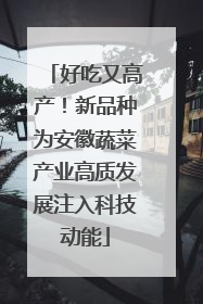 好吃又高产！新品种为安徽蔬菜产业高质发展注入科技动能