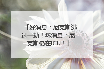 好消息：尼克斯逃过一劫！坏消息：尼克斯仍在ICU！