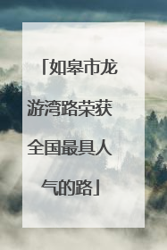 如皋市龙游湾路荣获全国最具人气的路