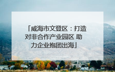 威海市文登区：打造对非合作产业园区 助力企业抱团出海