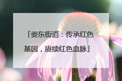 娄东街道：传承红色基因，赓续红色血脉