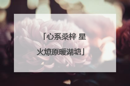 心系桑梓 星火燎原暖湖塘