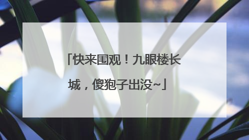 快来围观！九眼楼长城，傻狍子出没~