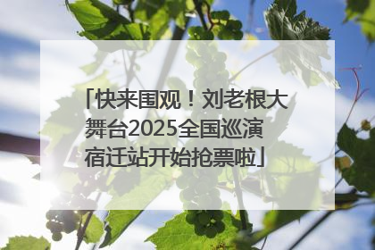 快来围观！刘老根大舞台2025全国巡演宿迁站开始抢票啦