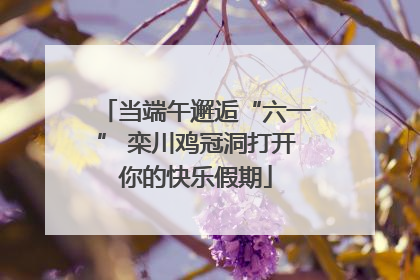 当端午邂逅“六一” 栾川鸡冠洞打开你的快乐假期